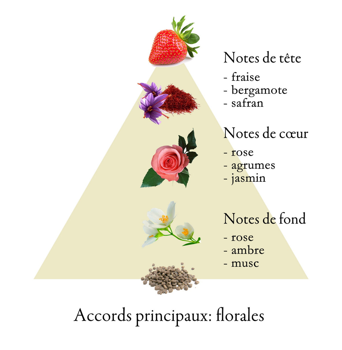 Pyramide olfactive de ROSE
