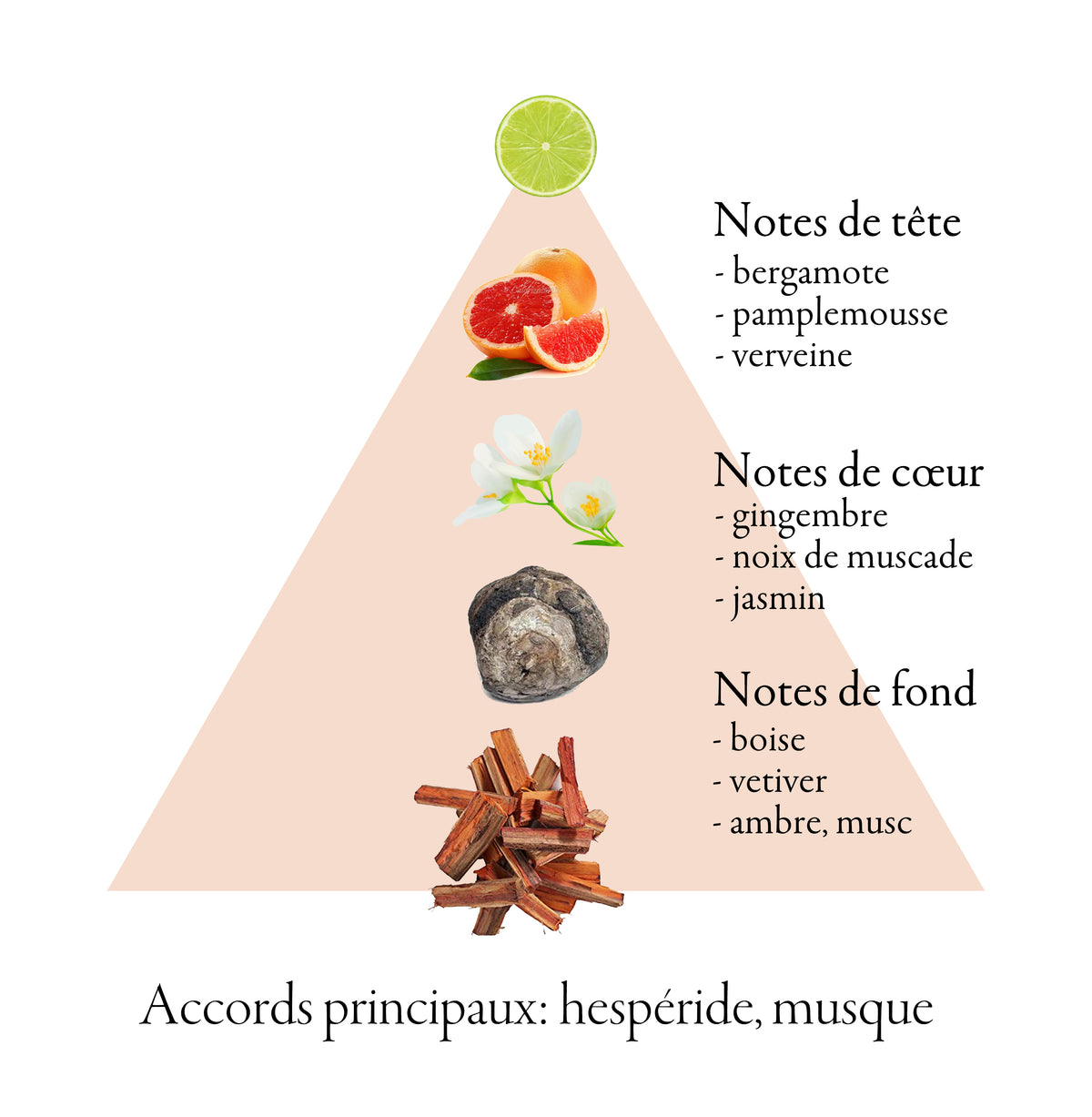 AVALANCHE RED fragrance-note chart