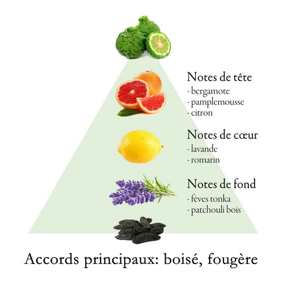 ELEGANT fragrance-note chart