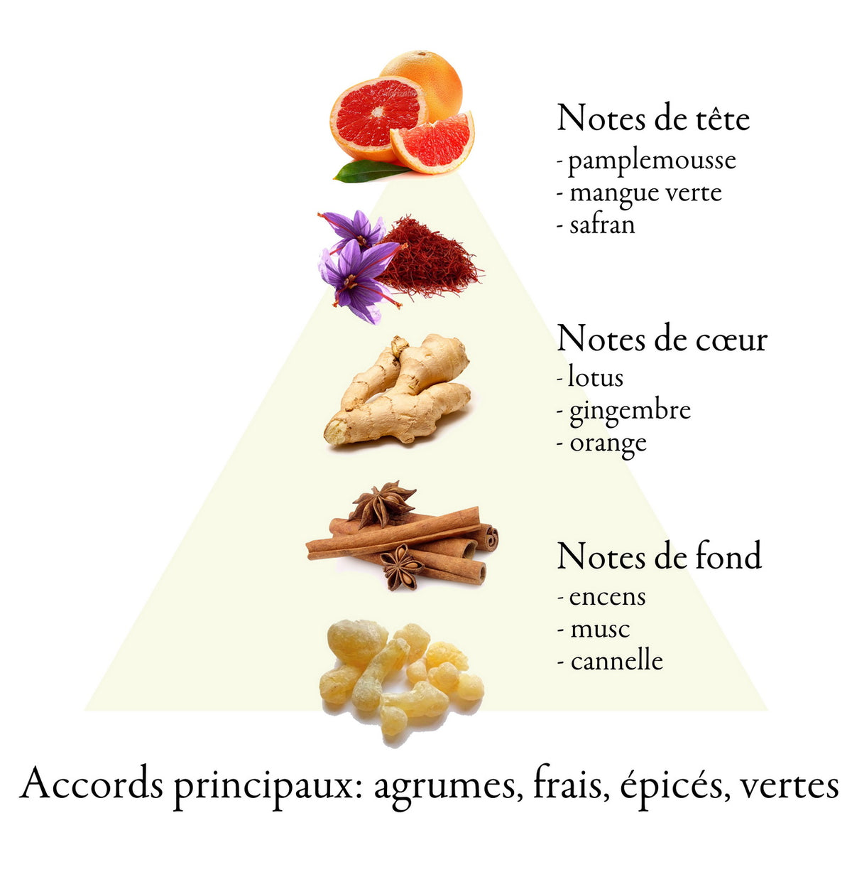 GAGARIN fragrance-note chart