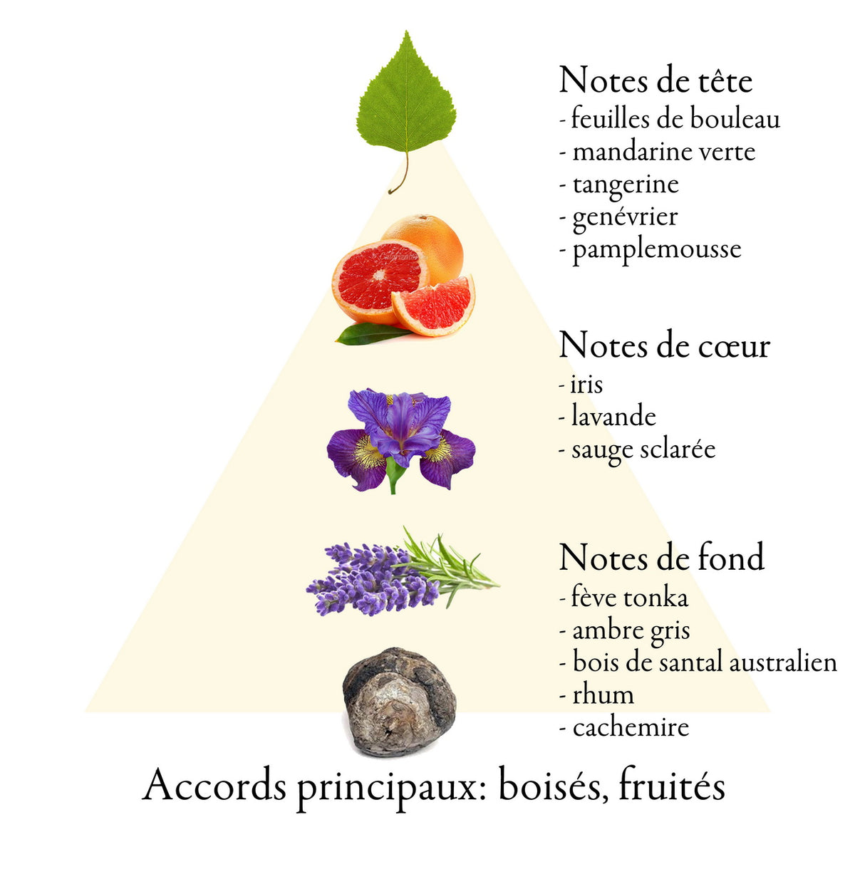 CHECKED fragrance-note chart