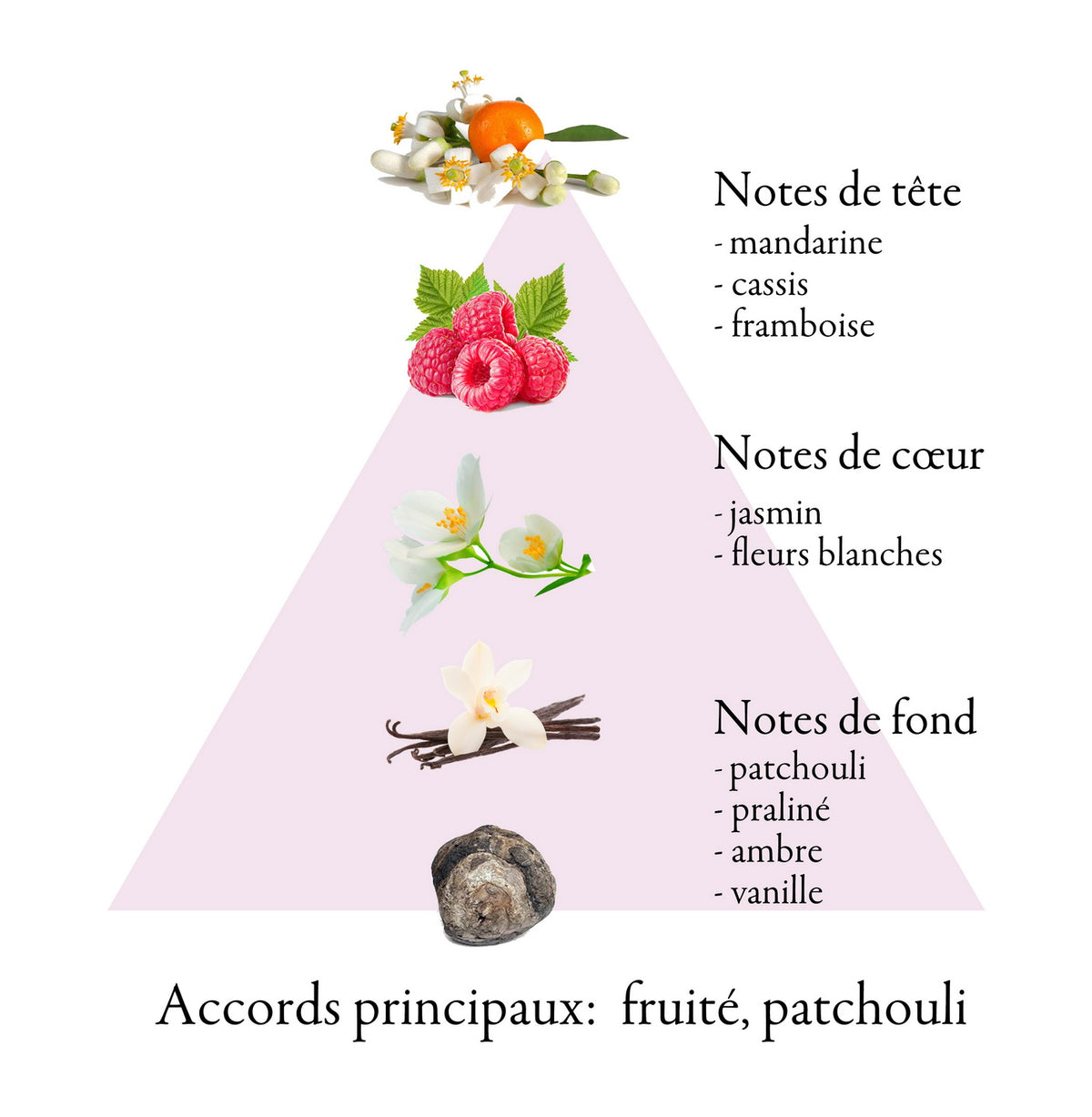 COQUETTE fragrance-note chart