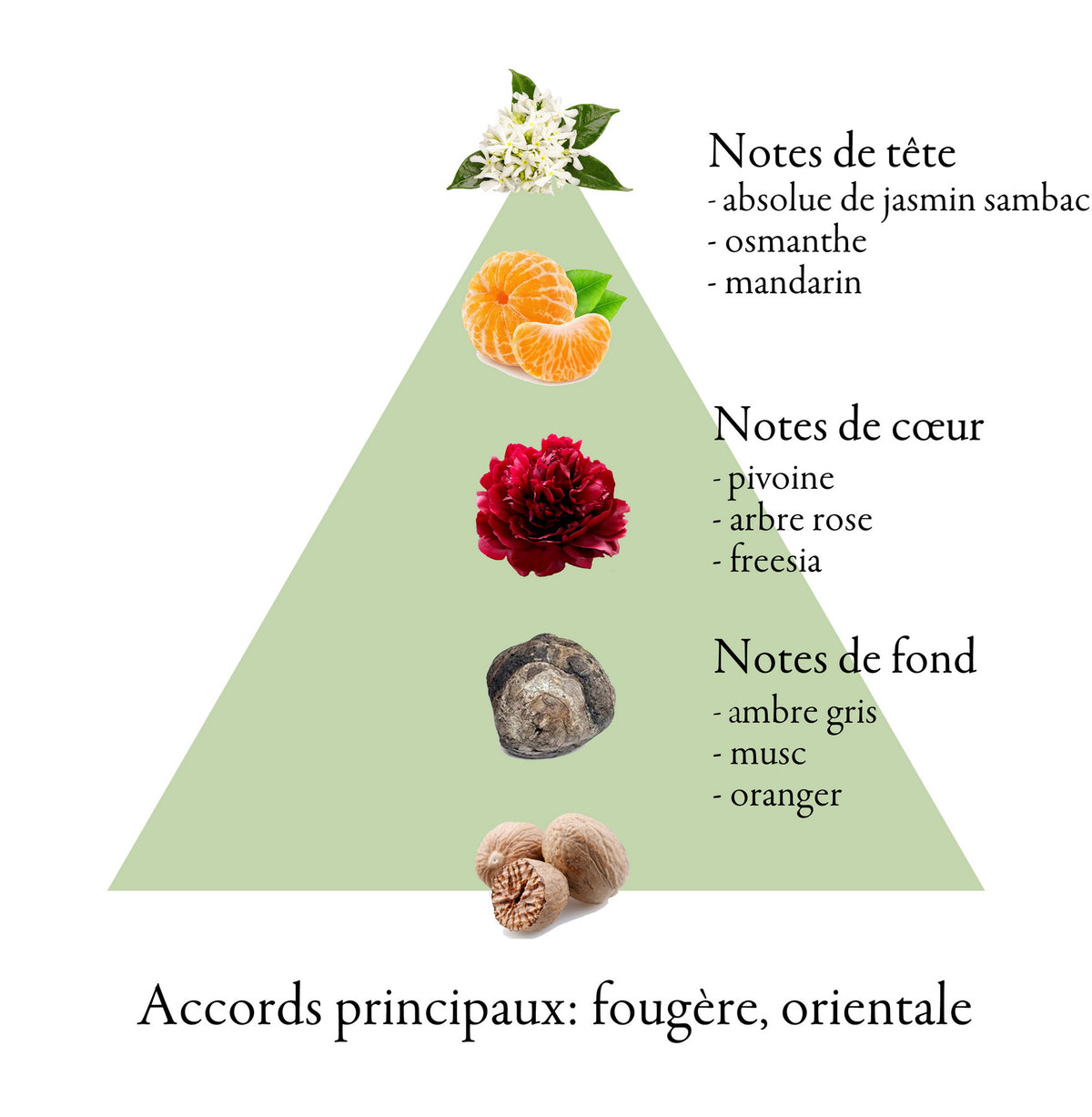 AVALANCHE GREEN fragrance-note chart