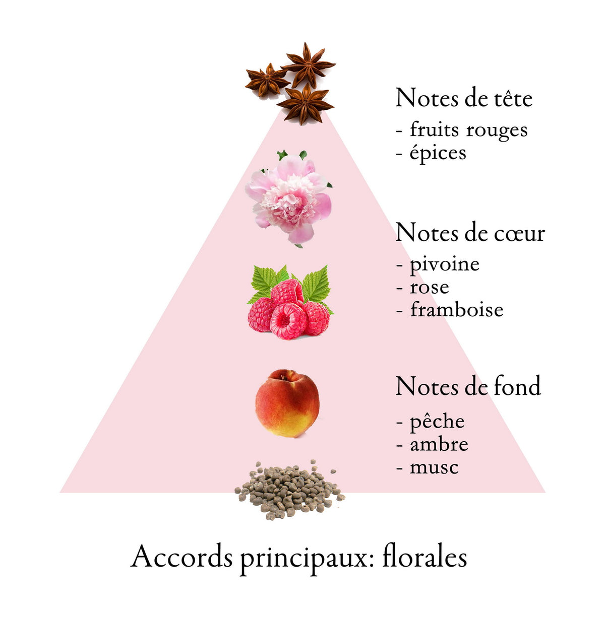 PIVOINE fragrance-note chart