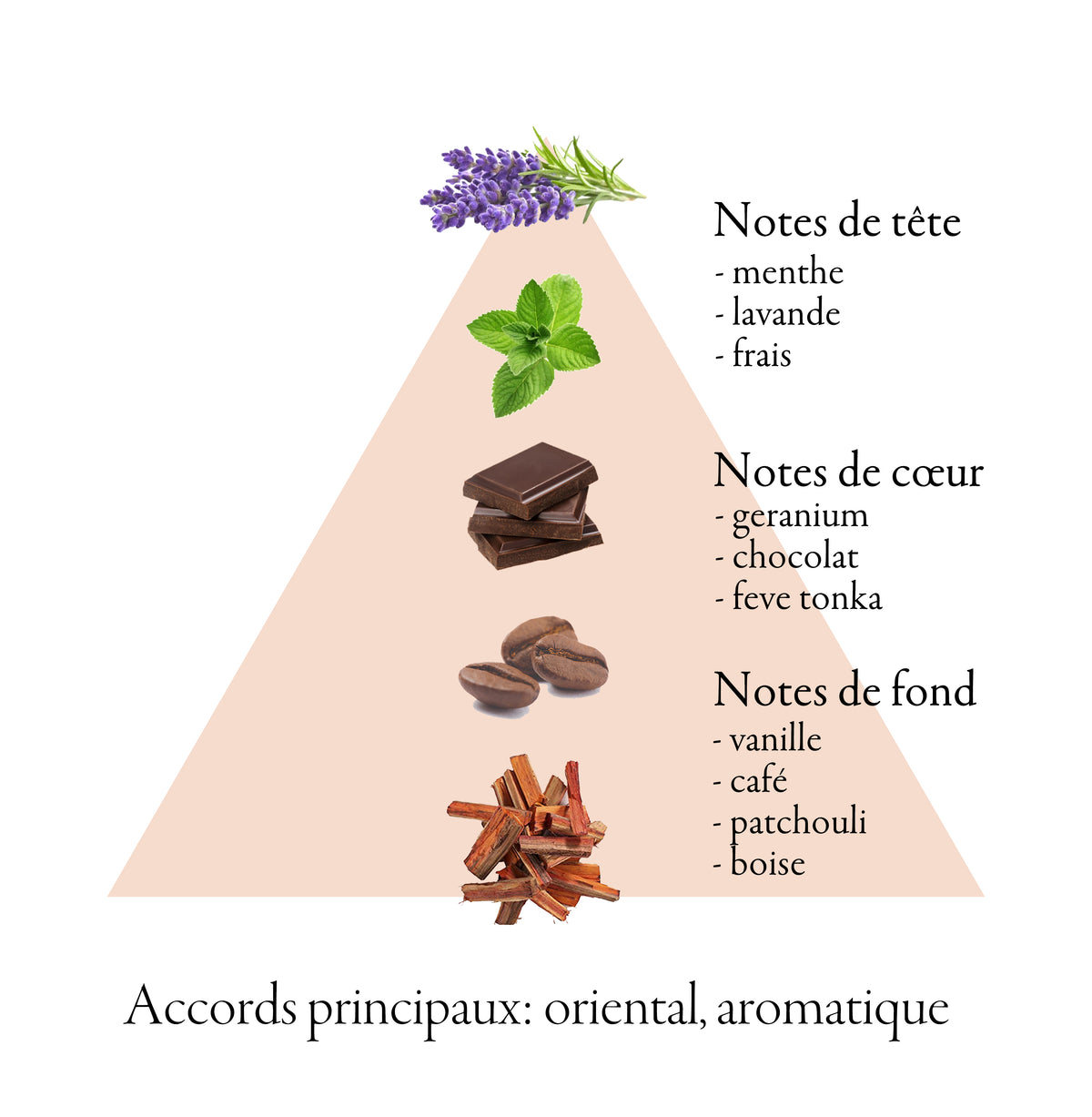 AVALANCHE BLACK fragrance-note chart
