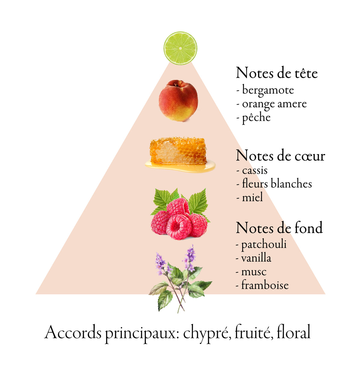 Pyramide olfactive de AVALANCHE NUDE