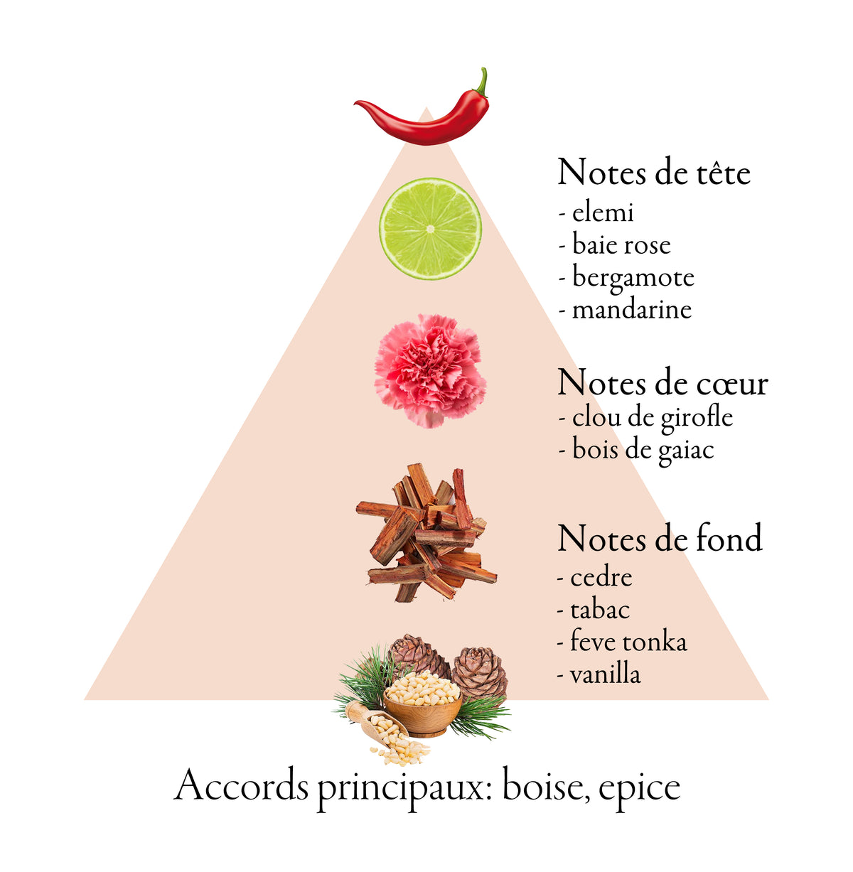 AVALANCHE PURPLE fragrance-note chart