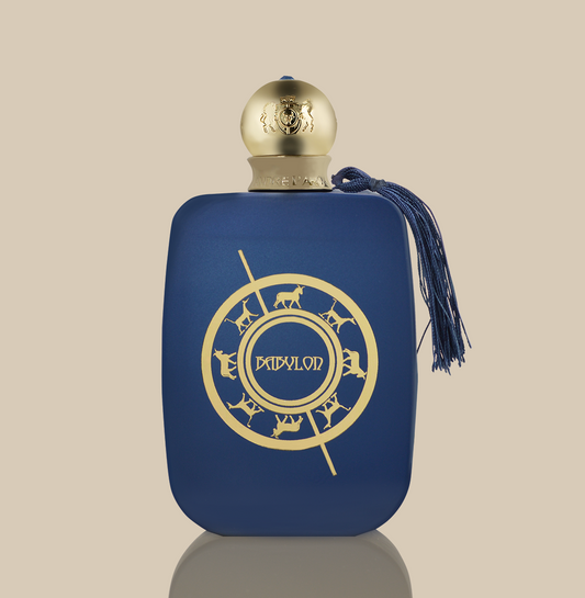 BABYLON eau de parfum pour homme 100 ml