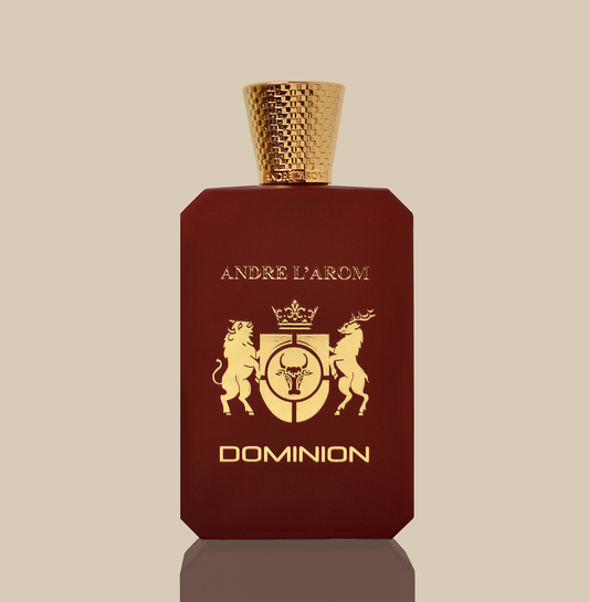 DOMINION eau de parfum pour homme 100 ml