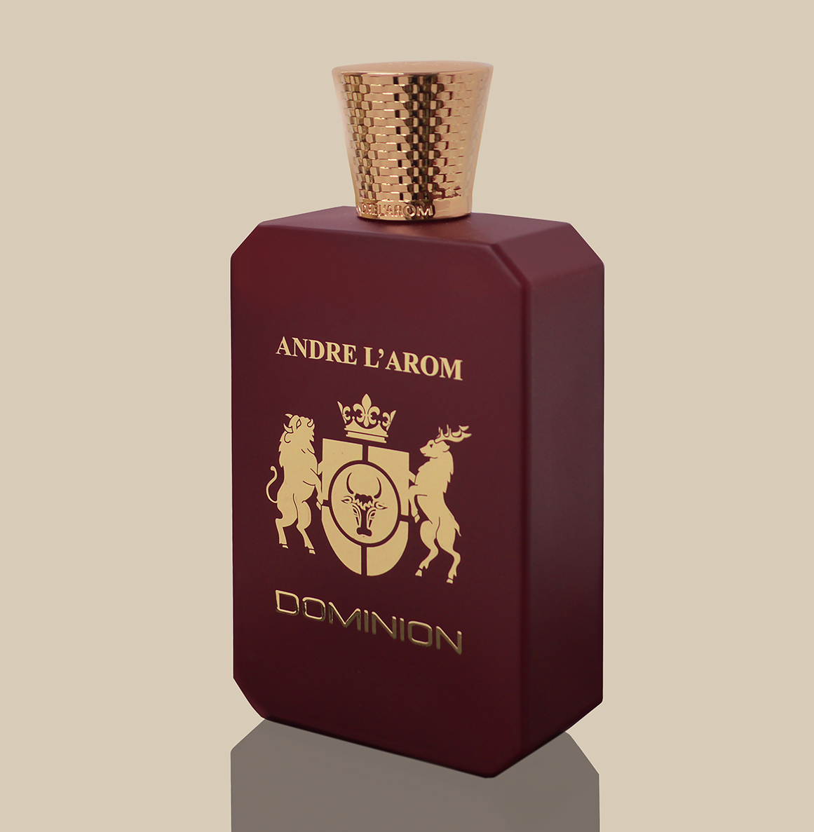 DOMINION eau de parfum for men 100 ml