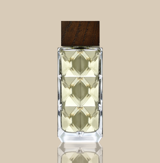 GAGARIN eau de parfum pour homme 100 ml