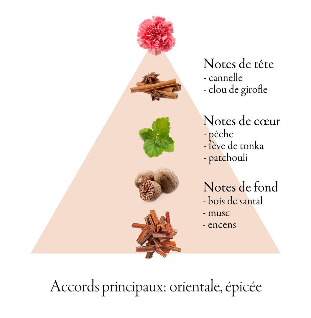 HOMME fragrance-note chart