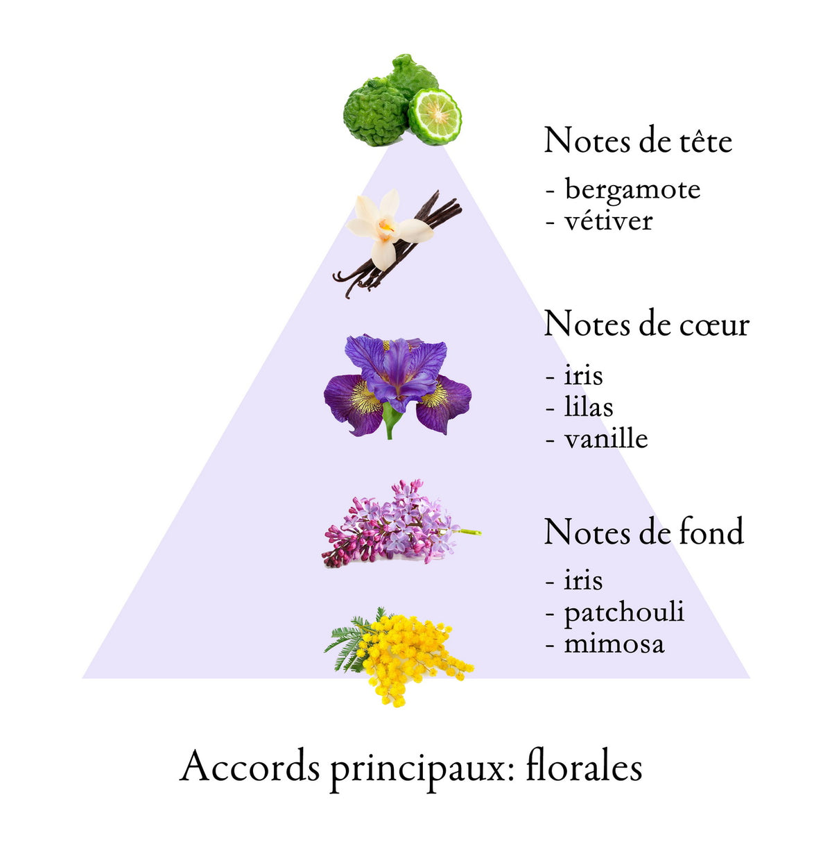 IRIS fragrance-note chart