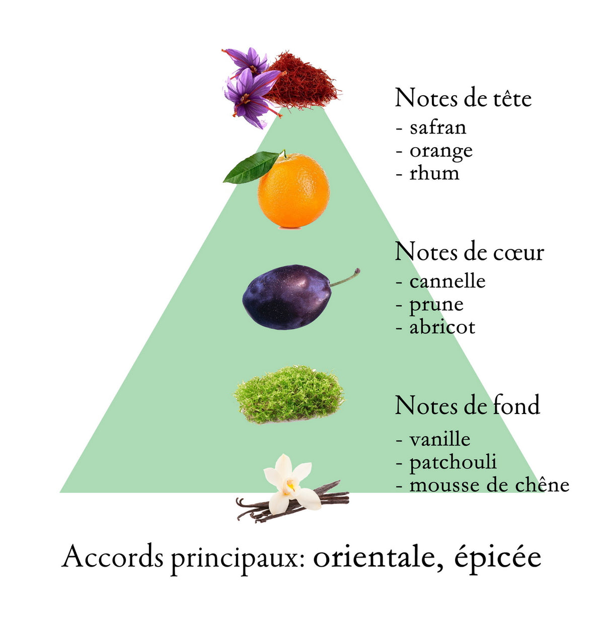 LEYA fragrance-note chart