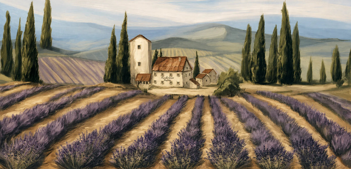 Une peinture des champs de lavande et de la Maison Famille Grasse en Provence.