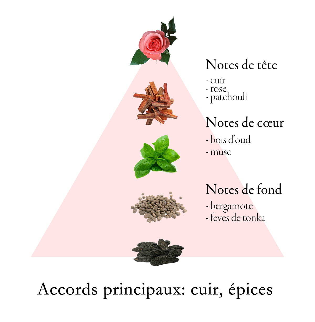 NOIR 67 fragrance-note chart