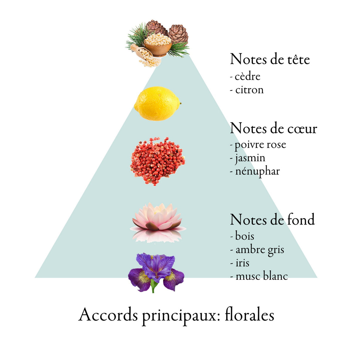 LIBELLE fragrance-note chart