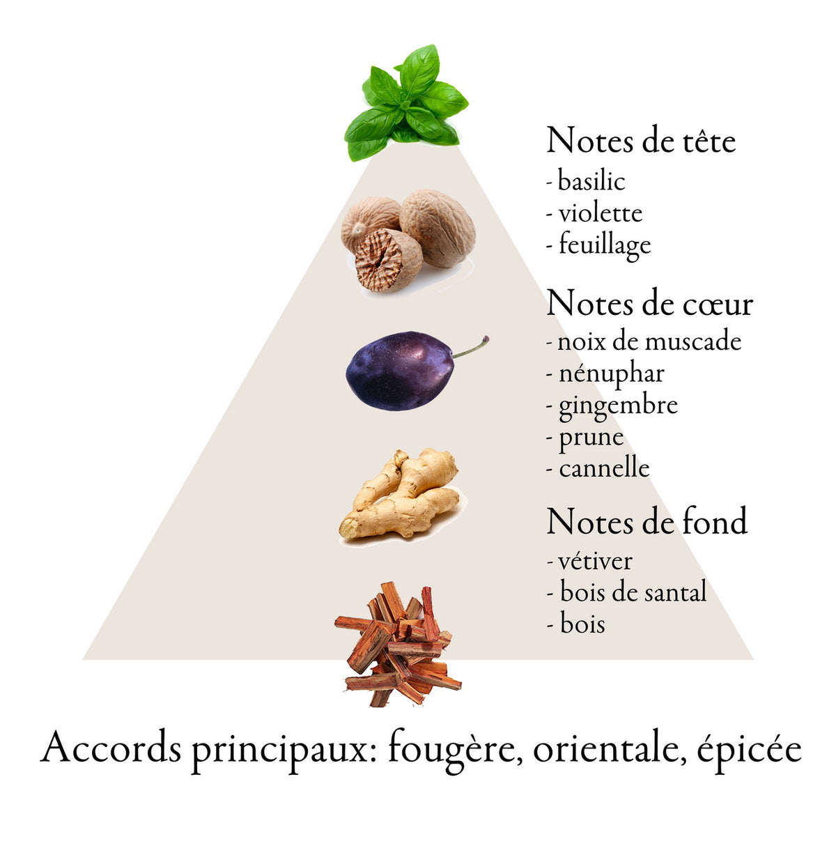 MON AMI fragrance-note chart
