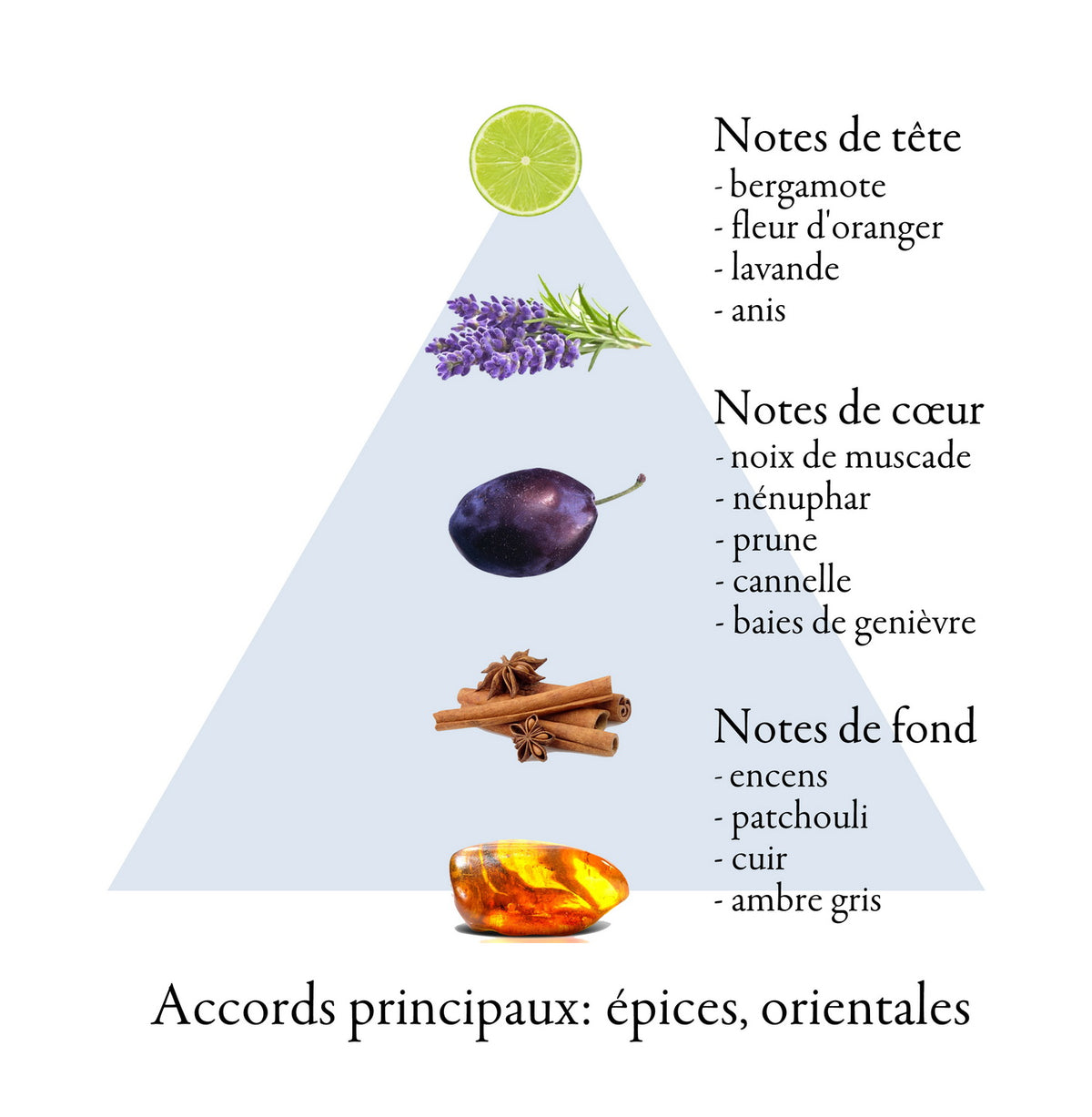 BABYLON fragrance-note chart