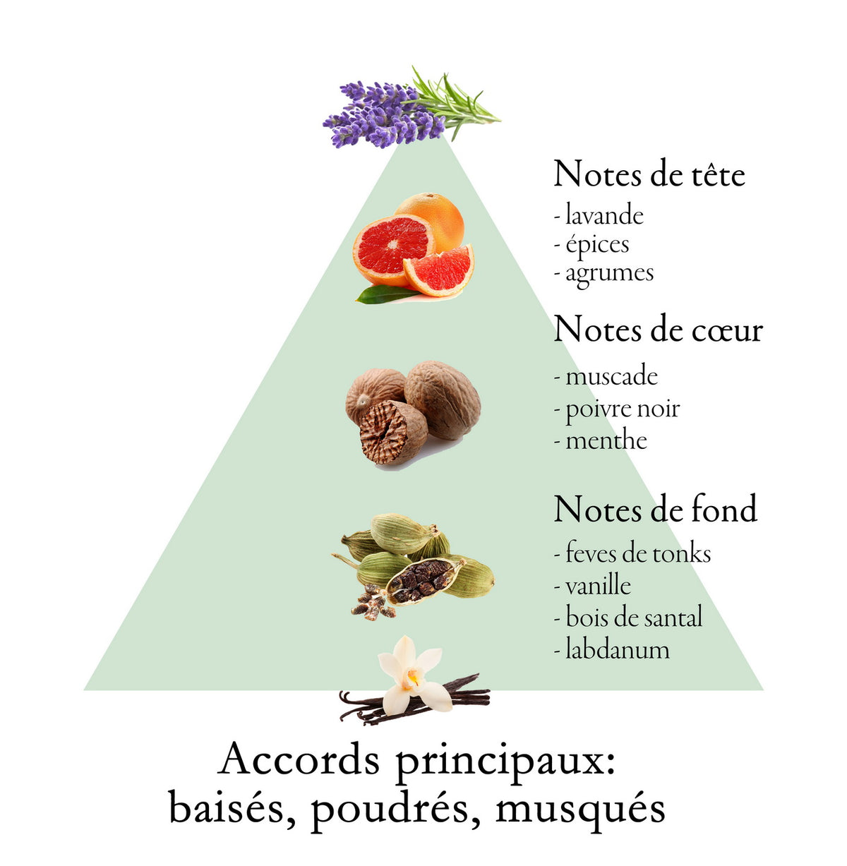 SIGNATURE fragrance-note chart