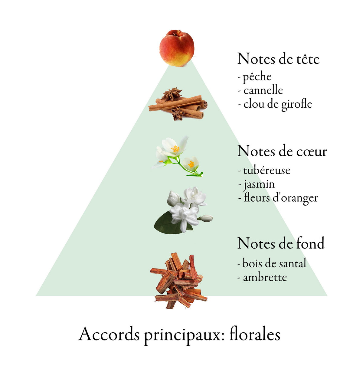 ARDOR fragrance-note chart