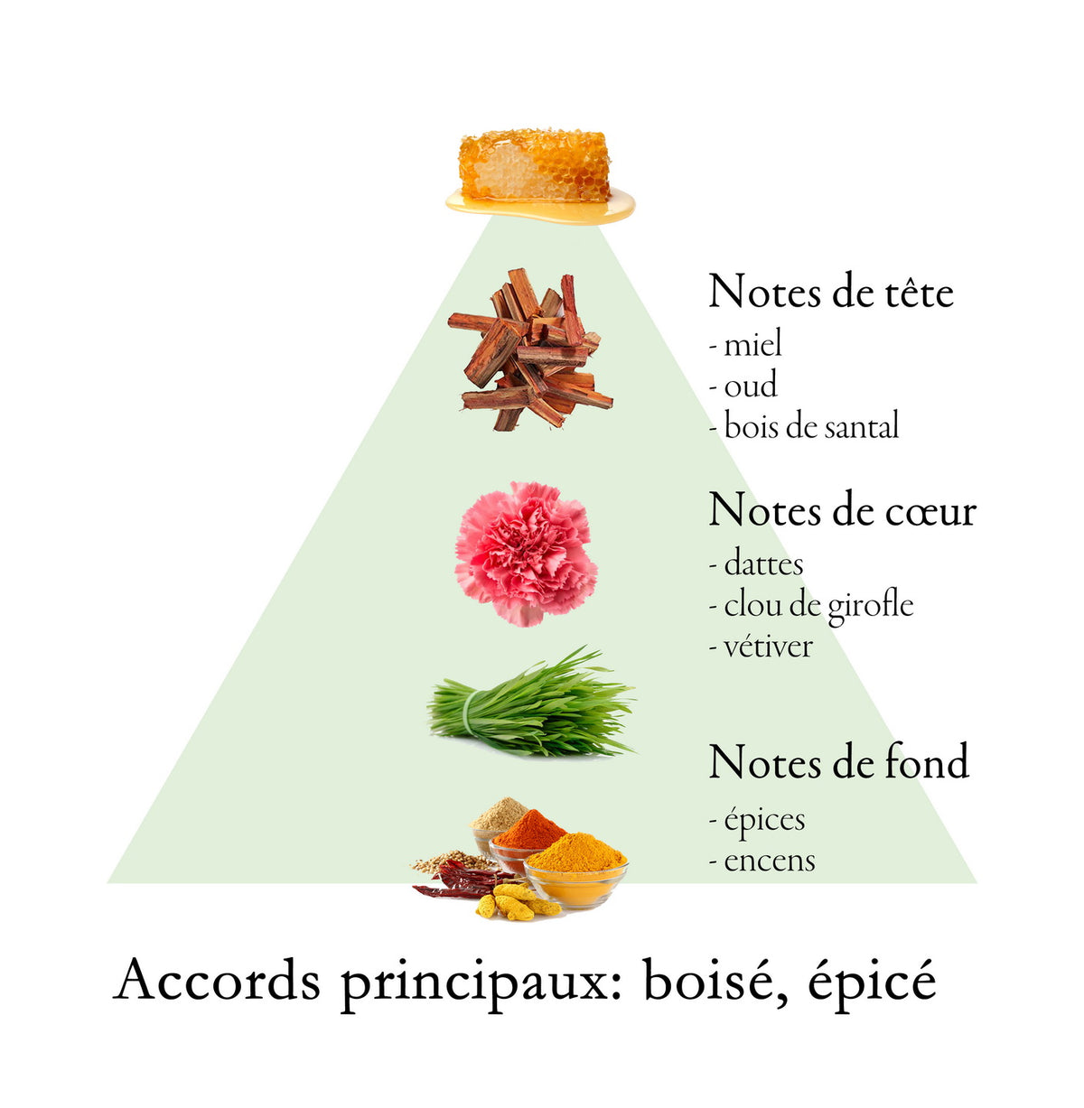 COLONEL fragrance-note chart