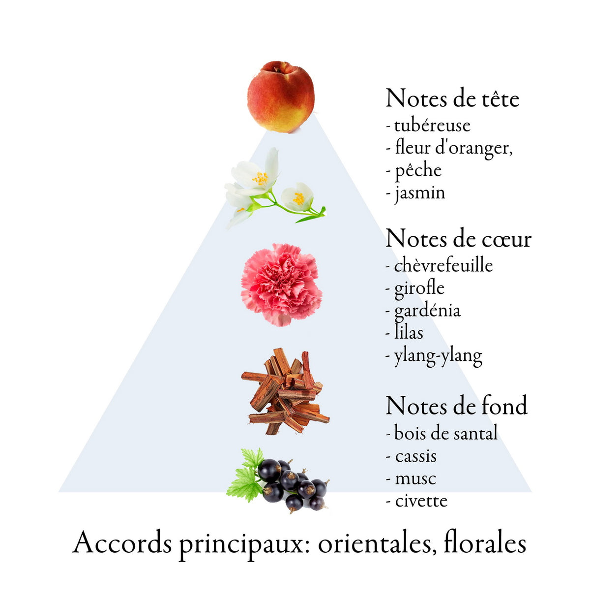 DEFENCE fragrance-note chart
