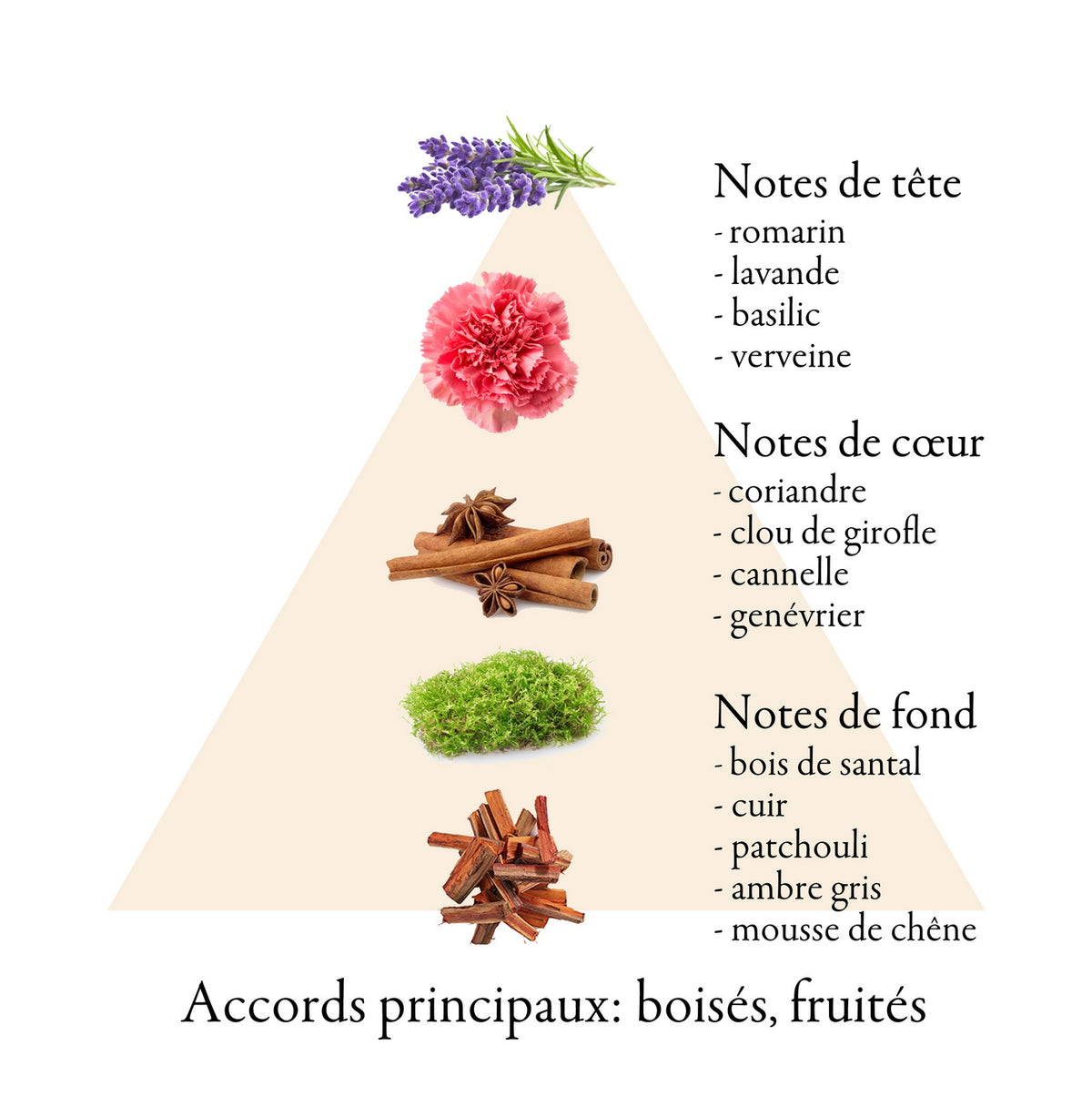 RELOAD fragrance-note chart